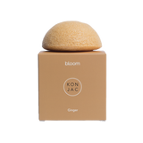 Konjac - Ginger