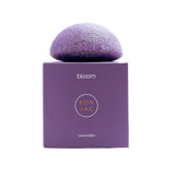 Konjac - Lavender